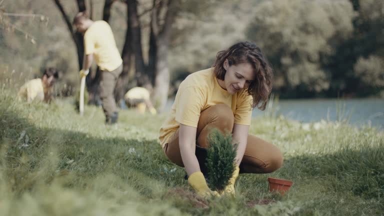 Best Lawn Irrigation Installation and Maintenance  in Kure Beach, NC